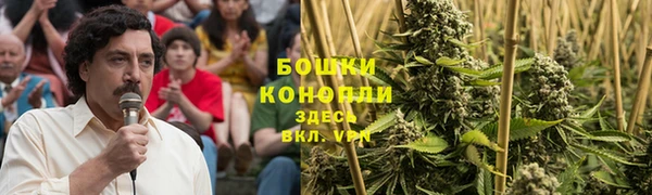 дурь Вяземский