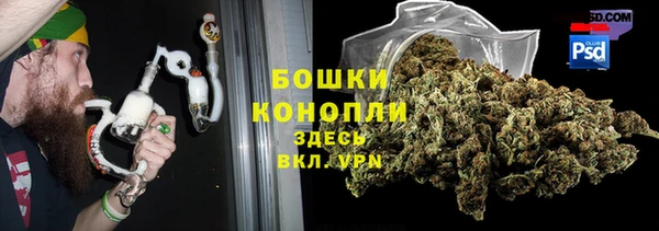 дурь Вяземский