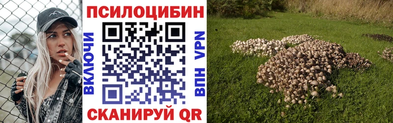 где найти наркотики  Губкинский  Псилоцибиновые грибы мицелий 