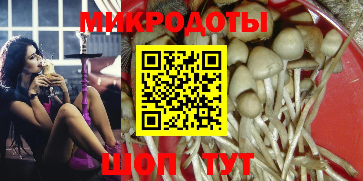 Псилоцибиновые грибы Psilocybine cubensis Губкинский