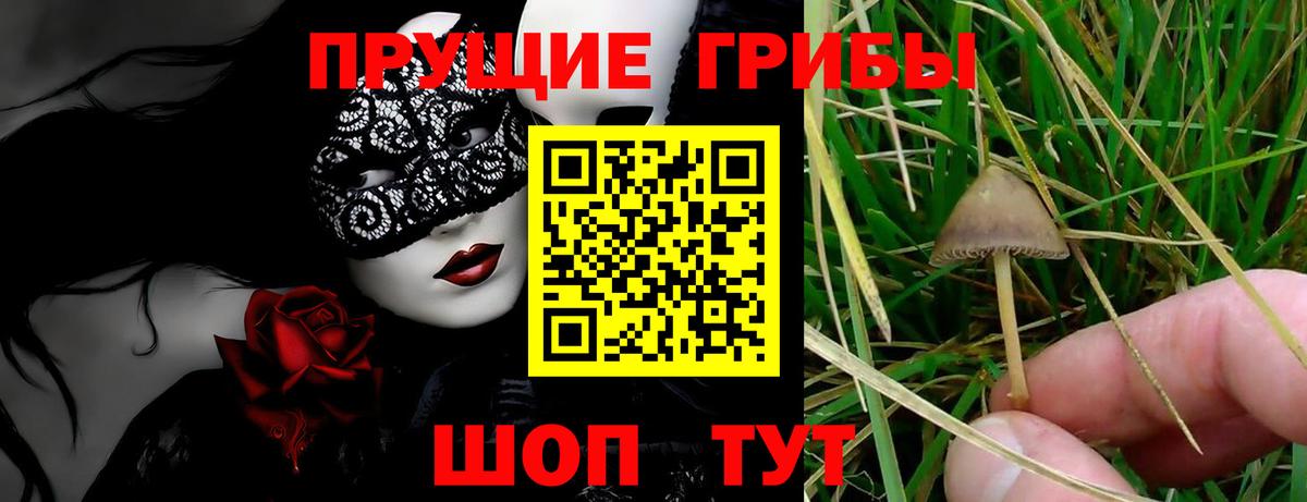 Псилоцибиновые грибы Psilocybe  Псилоцибиновые грибы ЛСД  Губкинский  Вход с VPN 